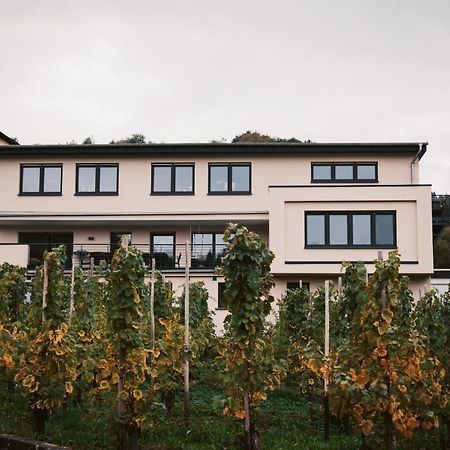 Apartmán Weingut Meurer Reil Exteriér fotografie