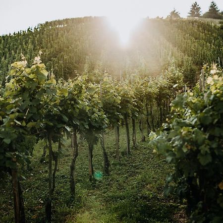 Apartmán Weingut Meurer Reil Exteriér fotografie