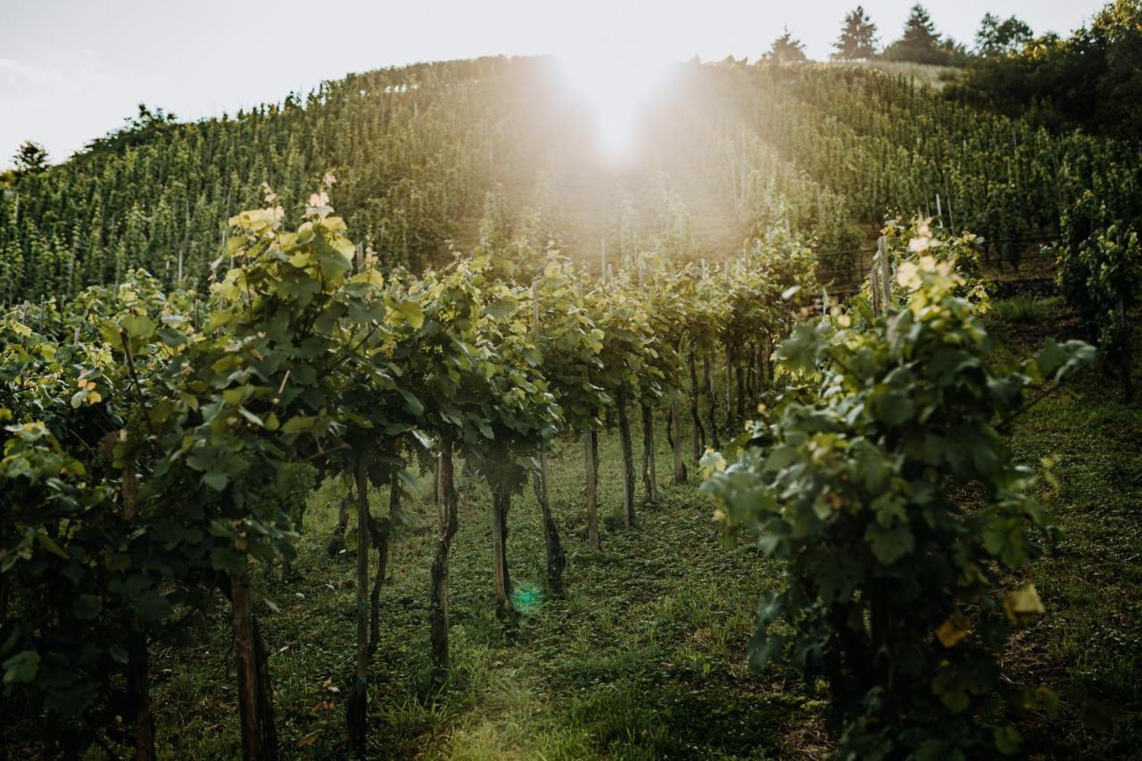 Apartmán Weingut Meurer Reil Exteriér fotografie